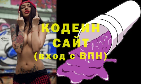 гашик Няндома