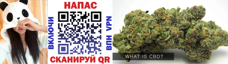 Каннабис SATIVA & INDICA  Ленинск-Кузнецкий 